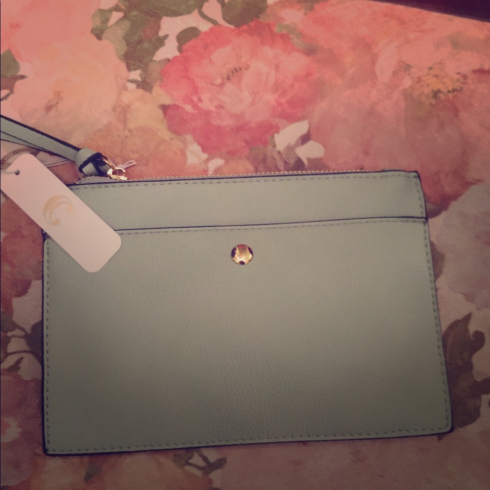 New with tags Small teal clutch